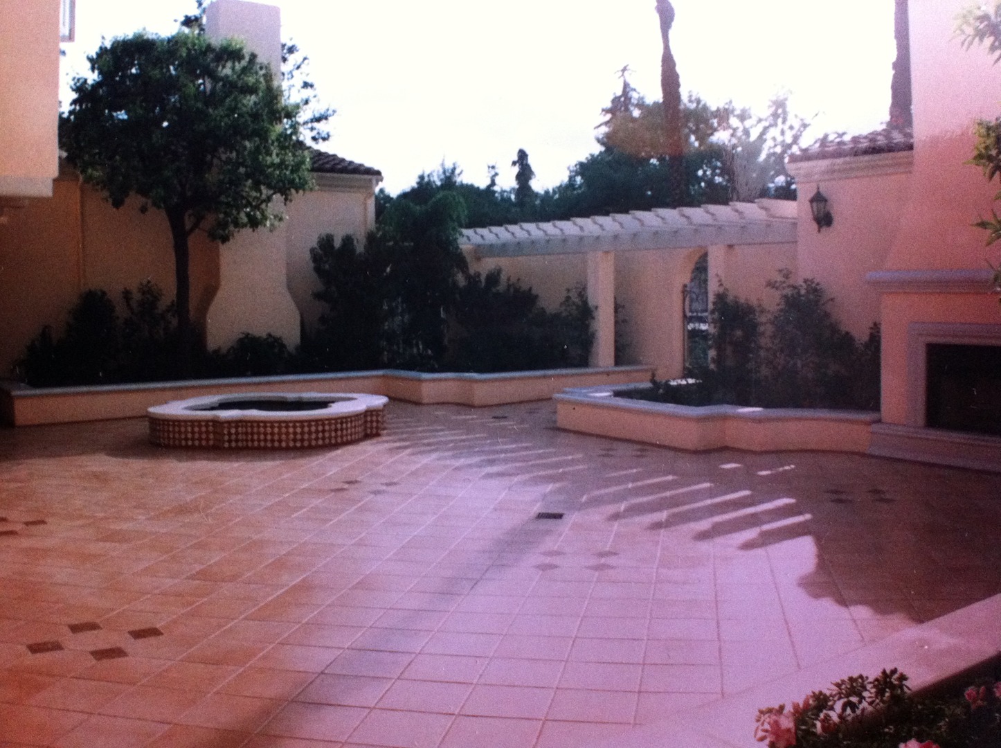 Courtyard garden