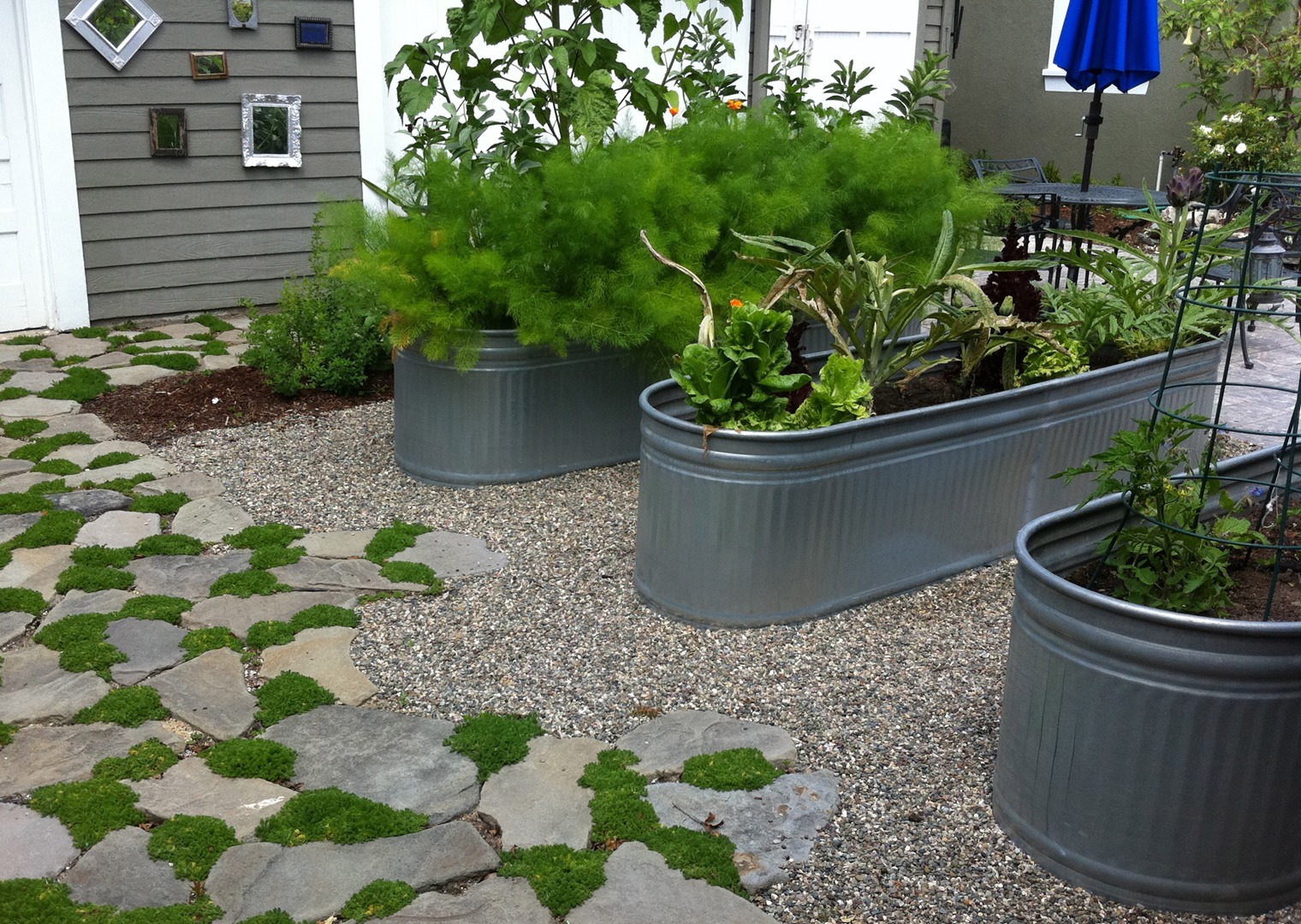 Raised vegetable beds